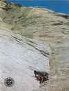 Ingrandisci Annuario 2000