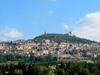 assisi