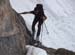 Frerone-